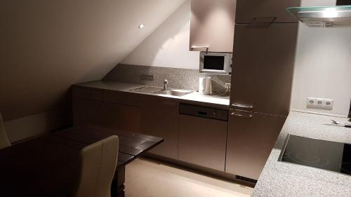 eine kleine Küche mit einer Spüle und einer Mikrowelle in der Unterkunft Joanna Apartment - MA Rheinau 5 in Mannheim