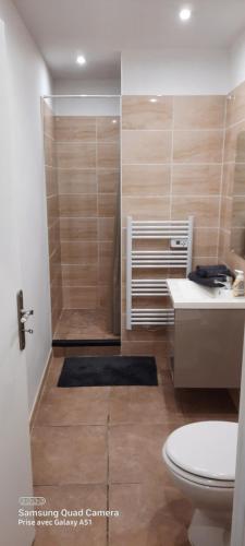 ein Bad mit einer Dusche, einem WC und einem Waschbecken in der Unterkunft superbe appartement de 40m2 avec parking gratuit sur place in Cuisery