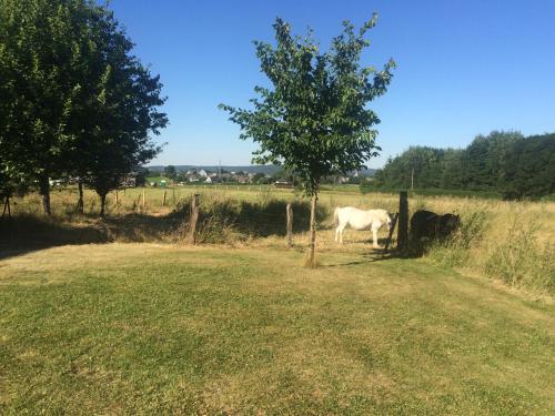 Imagen de la galería de Gite des étangs à Montzen, en Plombières