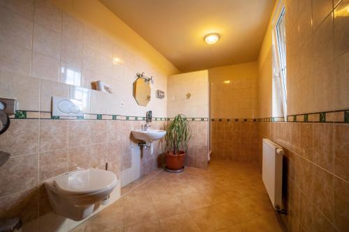 een badkamer met een toilet en een wastafel. bij Valnovka Wellness Hotel in Kamenice