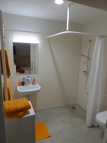 a bathroom with a shower and a sink and a toilet at Studio Apartment 2 in Tübingen