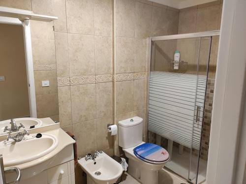 ein Bad mit einem WC, einem Waschbecken und einer Dusche in der Unterkunft Golf Del Sur, San Miguel de Abona, Cañadas in San Miguel de Abona