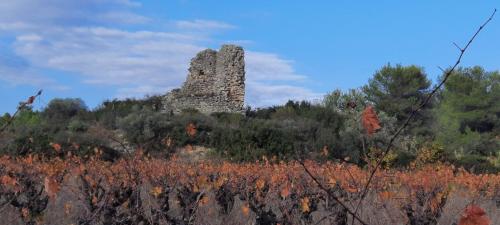 a stone tower on top of a hill with trees at Le Coq du Nord - Mailhac Gîte et Chambres d'Hôtes in Mailhac
