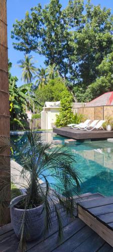 a potted plant sitting on a deck next to a swimming pool at Bongo Bongo Divers in Dauin