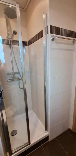 a shower with a glass door in a bathroom at Hotel Prox in Arnstadt