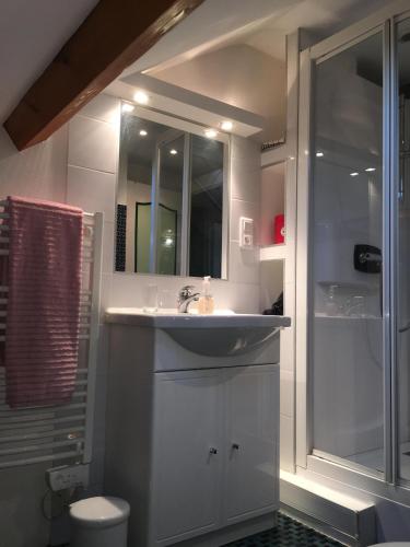 une salle de bain avec un lavabo et une douche dans l'établissement Les Roses de Rita, à Boisset-lès-Montrond