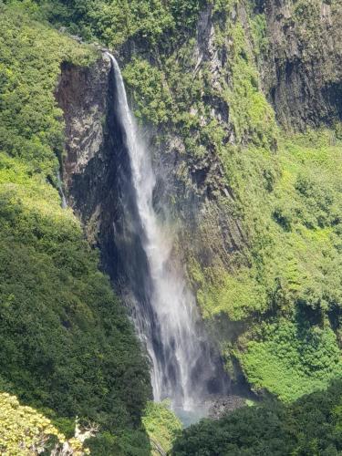 a waterfall on the side of a mountain at Couleurs des îles in Le Tampon