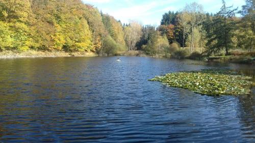 a small island in the middle of a lake at Cabane de l'aventurier in Saint-Nabord