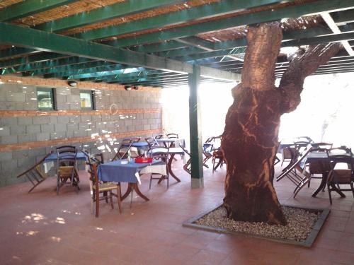 un albero al centro di un ristorante con tavoli e sedie di Nuraghe Ruiu Camping & Bungalow a Norbello
