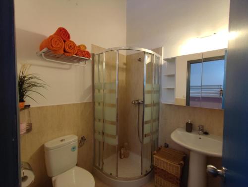 La salle de bains est pourvue d'une douche, de toilettes et d'un lavabo. dans l'établissement Apartamento 1, Chalet Manzano a 15" de Sevilla, a 30" del Aeropuerto de Sevilla, à Villanueva del Ariscal
