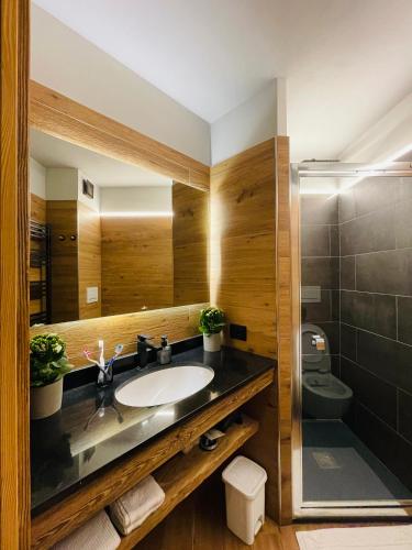 a bathroom with a sink and a toilet and a mirror at Panoramic Apartment in Breuil-Cervinia