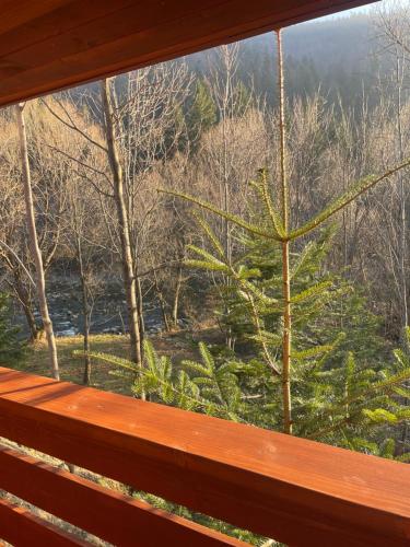 a window with a view of a pine tree at Villa Затишна de luxe in Mykulychyn