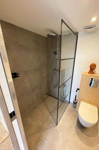 a bathroom with a shower stall and a toilet at Le Studio du Designer in Libin