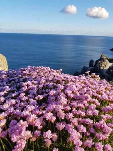 Gallery image of The Plough B&B in Ventry