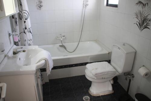 a bathroom with a toilet and a tub and a sink at Panorama in Agios Georgios