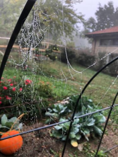 Κήπος έξω από το Ca' de l'Ase