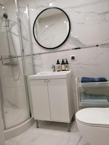 a bathroom with a shower and a sink and a mirror at Apartament Classic Południe in Włocławek