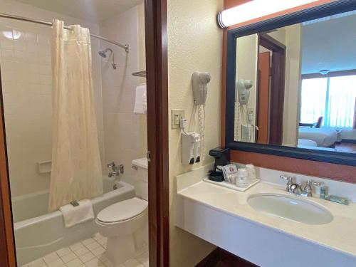 a bathroom with a sink and a toilet and a mirror at Best Western Greenville Airport in Greenville
