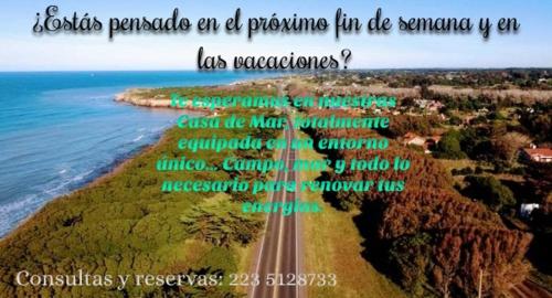 Casuarinas – Photos 4