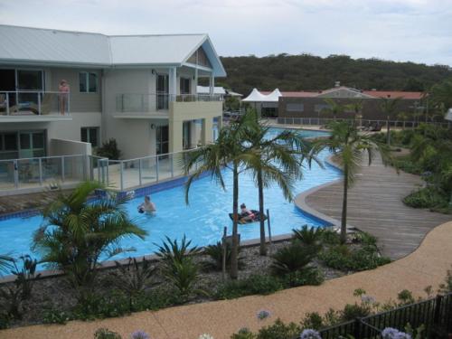 a swimming pool with palm trees in front of a house at Oaks Pacific Blue 349 fantastic pool in Salamander Bay