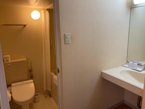 W łazience znajduje się toaleta, umywalka i lustro. w obiekcie Iriomotejima-Jungle Hotel Painumaya w mieście Iriomote