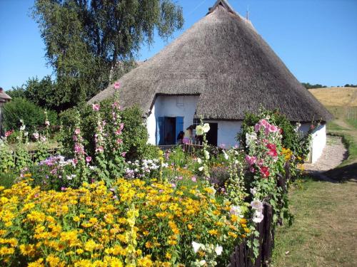 een rieten dakhuis met een bos bloemen bij Ferienwohnung Moewennest mit Terra in Middelhagen