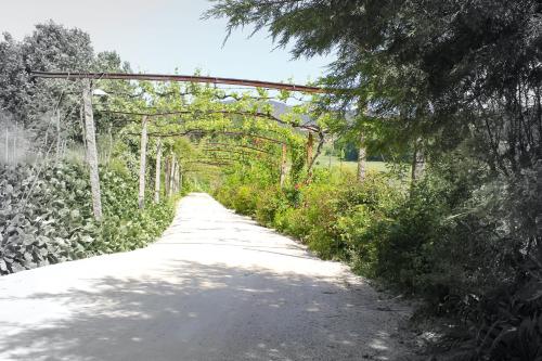 a dirt road with a metal arch over it at Lousada Country Hotel in Lousada