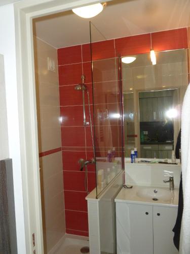 La salle de bains est pourvue d'une douche et d'un lavabo. dans l'établissement La Corniche d'or à St Raphael, à Saint-Raphaël