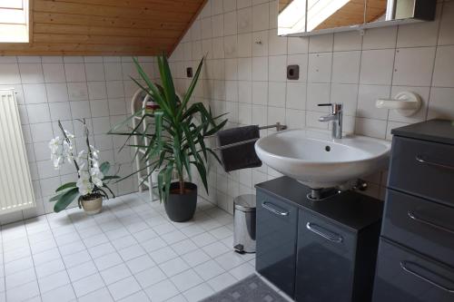 a bathroom with a sink and a potted plant at Ferienwohnung Karch in Beilngries
