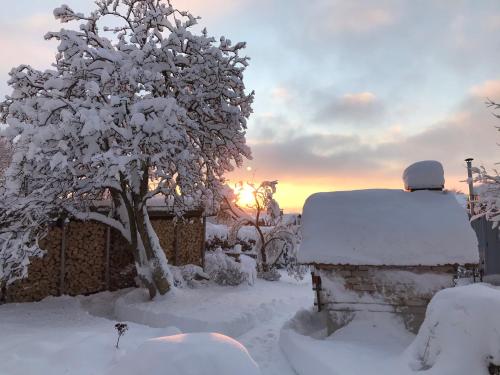 a tree covered in snow next to a fence at Bei uns im Allgäu - Ferienwohnungen zum Wohlfühlen in Bad Wurzach
