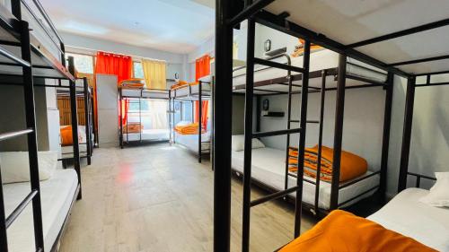 a group of bunk beds in a room at Madpackers Jibhi - Of Streamsides & Waterfalls in Jibhi