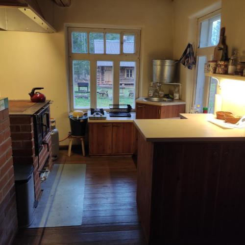 a kitchen with a counter and a stove top oven at Nedsaja metsamaja ja saun in Nedsaja