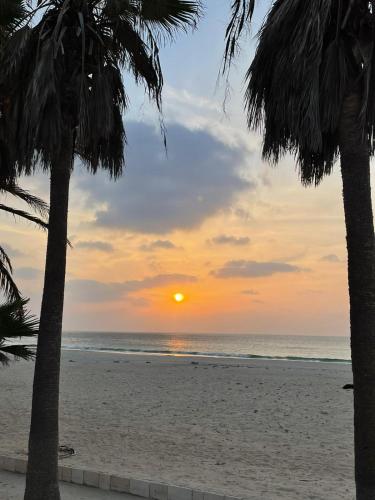 a sunset on the beach with two palm trees at Villa Nº 25 Alfredo Marchetti Suites on the Beach,Praia de Chaves BV in Cabeçadas