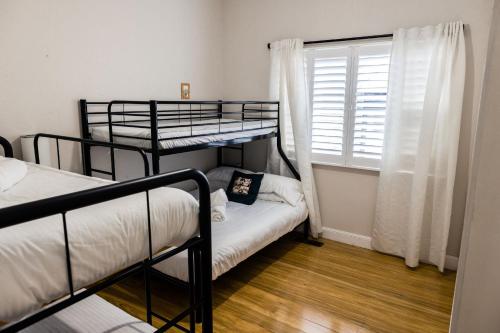 a bedroom with two bunk beds and a window at WildLife Lodge Katoomba in Katoomba