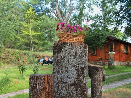 Κήπος έξω από το Cabañas de Madera Sanabria
