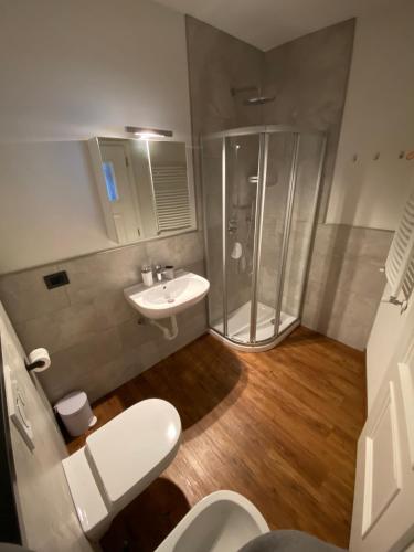 a bathroom with a shower and a toilet and a sink at Cesa Prinoth in Campitello di Fassa