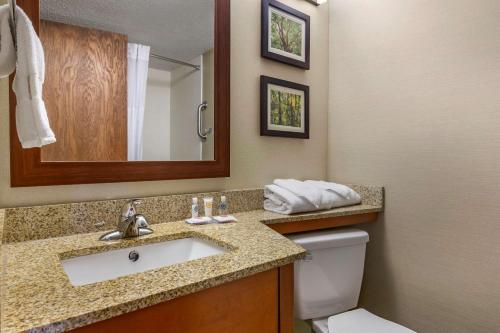 Vonios kambarys apgyvendinimo įstaigoje Comfort Inn & Suites near Danville Mall
