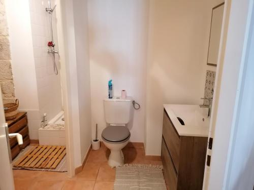 ein Bad mit einem WC und einem Waschbecken in der Unterkunft LE LOFT in Casteljaloux