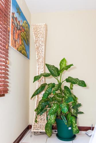 a plant sitting on a table next to a wall at Casa da Noleen in Matola