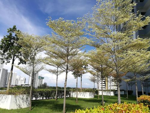 a row of trees in a park at Landmark Million Dollar King Suite #Netflix#500mbps WiFi in Tanjong Tokong