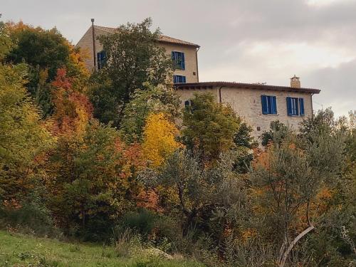 a building on the side of a hill with trees at La casa dalle finestre blu in Abbateggio