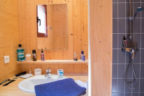 een badkamer met een wastafel en een spiegel bij Les Châtaigniers du Lac in Pourcharesse