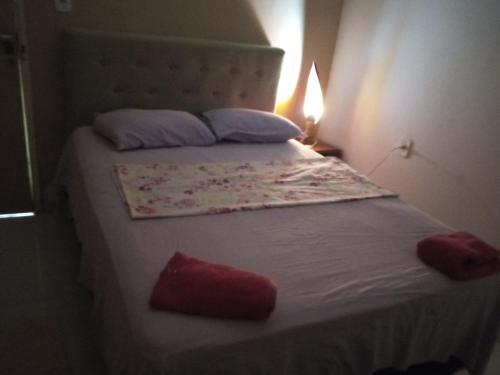 a bed in a room with two pillows on it at Cantinho Nativus in Maragogi