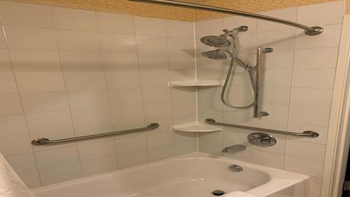 a bathroom with a shower and a bath tub at Holiday Inn Express Hotel & Suites Lansing-Dimondale, an IHG Hotel in Dimondale