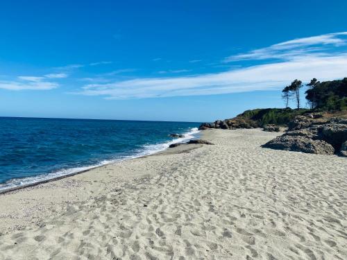 Residence Marina di Bravone - appartement 4 personnes Front de Mer 1er etage N45