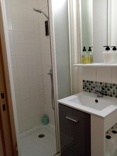 une petite salle de bain avec un lavabo et une douche dans l'établissement 55Magenta, à Poitiers
