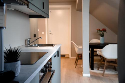 Kuchyň nebo kuchyňský kout v ubytování Trolltunga Odda Apartments
