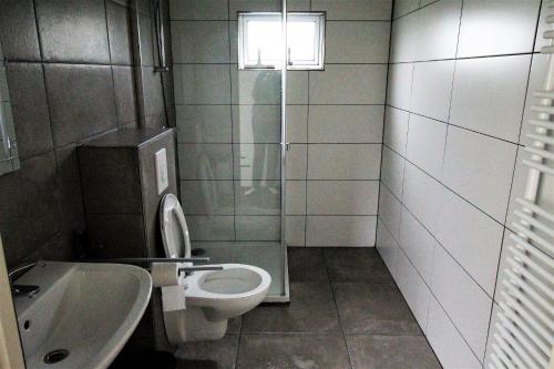 een kleine badkamer met een toilet en een wastafel bij Panorama Chalet in Drijber