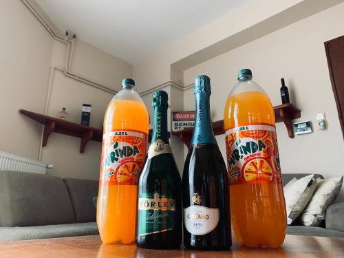 Fenyves Sor Apartman 7677 Orfű, Fenyves sor 1/A kép - 3