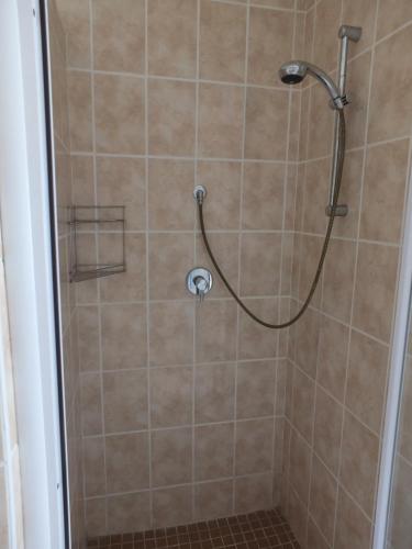 a shower with a shower head in a bathroom at Heron Place sunny self-catering garden flatlet in Port Alfred
